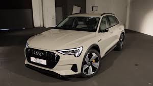 Image result for Siam Beige 2020 Audi