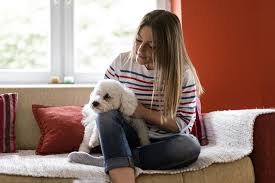 Best dogs for apartment living. Apartment Living With Dogs Keep Pups Happy And Healthy