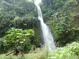 Coban Siuk Home Facebook
