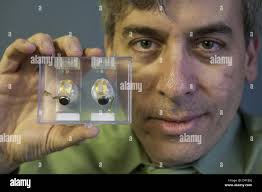 Second sight greenberg hi-res stock photography and images