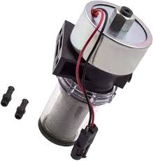 Image result for Hypoxis sp. A (as per FZ 12-3)