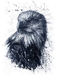 Black And White Eagle Painting Eagle Black White Paint Vector Vector Art New Art