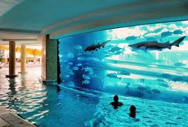11 Most Beautiful Swimming Pools You Have Ever Seen Architecture Design Golden Nugget Pool Swimming Pools Luxury Swimming Pools