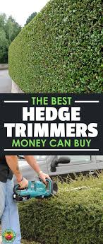 10 Best Hedge Trimmers To Keep Things Tidy Epic Gardening Hecke Garten Gartenschere