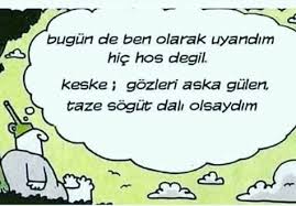 Filiz Erikci Decoratrice D In Adli Kullanicinin Karikaturler Panosundaki Pin Mizah Komik Seyler Komik