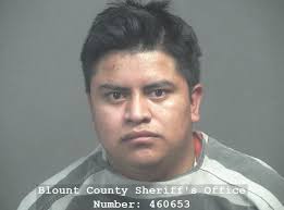 BAILEY, ANNA MARIE Charges: USE/POSSESSION OF DRUG PARAPHERNALIA TAMPERING  WITH EVIDENCE INTRODUCTION IN PENAL FACILITY-DRUGS MAN/DEL/SELL SCHED I-VII  DRUGS (OTHER) MAN/DEL/SELL SCHED I-VII DRUGS (OTHER) This information and  more is available https ...