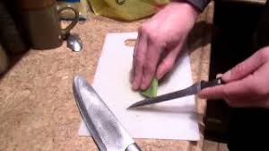 Twice a week, dust your bearded dragon's live food with a calcium supplement (ask a petsmart associate for details). How To Prepare Cactus For Bearded Dragons Youtube
