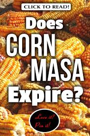 I Love Fresh Corn Masa And Masa Harina Is Essential For Fresh Corn Tortillas Tamales And Many Mexican Delicacies But I Do Fresh Corn Recipes Corn Fresh Corn