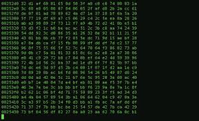 12 Things Everyone Assumes Coders Can Do Coder Roblox Glitch Gif