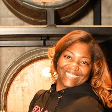 Fundraiser by Rasheeda Williams : From IVF to Injustice: A Mother's Fight  to Protect Her Son