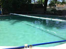 If you've never seen pollen in your pool, it can look an awful lot like mustard algae, or yellow algae. Algae Or Pollen Lots Of Pictures Trouble Free Pool