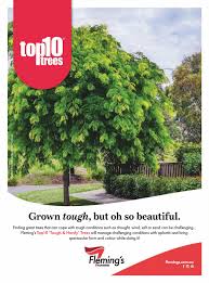 The chairs are in a brutalist style and come from the 1960s. Dscczcfsgfsf By Megustamenearlo Issuu