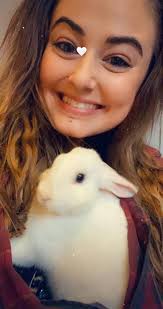 Christmas bunny Teddy finds his forever family