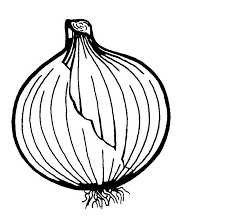 Oignon Jpg Dessins Cliparts De Fruits Et Legumes Du Jardin Dessin Fruits Dessin Legumes Coloriage Fruits
