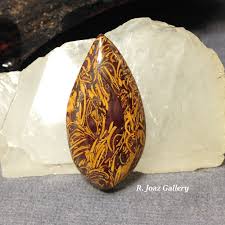 Script Stone Cabochon Aka Coquina Jasper R Joaz Gallery