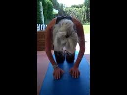 Pin On Yoga For Osteoporosis Build Bone Mass With Yoga