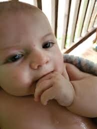 Jeannette F. Brown Obituary