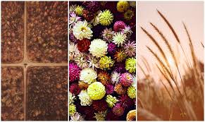 Download android hd wallpapers and backgrounds for lock screen and home screen in 4k and 8k resolution wallpapers for samsung galaxy, google pixel 2 and 3, lg, xiaomi, huawei. How To Design Diy Wallpaper For Your Phone Learn Befunky