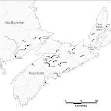See nova scotia silhouette stock video clips. Outline Map Of Nova Scotia And Southern New Brunswick To Show Location Download Scientific Diagram