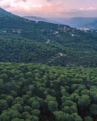 من مدينة جزين جنوب لبنان Outdoor River Water