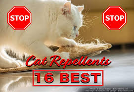 It does not have any harmful chemicals or pesticides hence safe for you and your pets. 16 Best Cat Repellents And Deterrents Pest Pointers Tips For At Home Pest Control