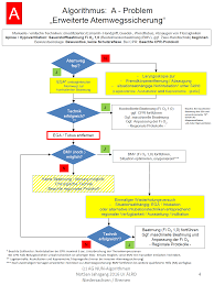 During introspection, datagrip loads the metadata from the database and uses this data later. Https Www Bv Aelrd De Index Php Downloads Category 12 2016 Pyramide Download 42 Pyramide Ii Ag 3 Abcde Schema