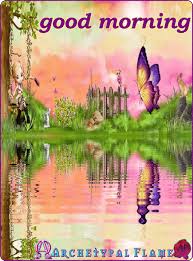 With tenor, maker of gif keyboard, add popular good morning happy saturday animated gifs to your conversations. Nature Wallpaper Nature Good Morning Happy Sunday