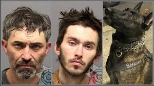 ClackCo K9 nabs suspected father-son burglars