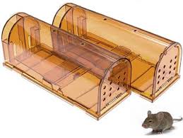 But if your pest control has gotten out of control, we have tons of great advice for however, there are some ways to get rid of rodents without resorting to rat interior treatments work well inside the home, because they attack the ants in, on. How To Get Rid Of Rats Fast 17 Best Ways In 2021