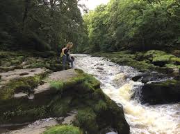 Filming in the river wharfe on one of the stretches of water run by wetherby angling club with a few bonus appearances. Bolton Abbey Friday 26th August 2016