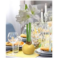 Check spelling or type a new query. National Plant Network Yellow Waxed White Blooming Giant Amaryllis Bulb 3 Pack Hd9103 The Home Depot