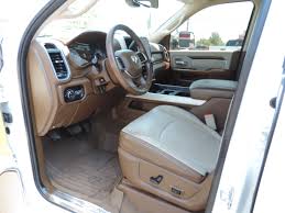 Image result for Earth Brown 2020 Ram