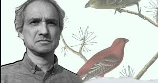 Julio Paredes Cástro archivos