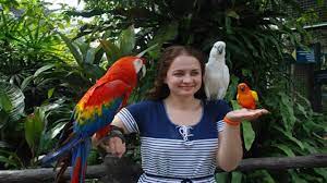 It is home to more than 3,000 birds from 200 species all over the. Kuala Lumpur Bird Park 2016 Youtube