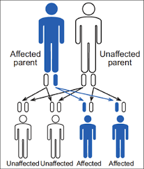 If you would have inherited from the decedent under ohio intestate law, the administrator of the estate is still obligated to try to locate and notify you. Inheritance Pattern Hemophilia Federation Of America