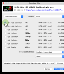 Mp4s are one of the more common video file formats used for downloading and streaming videos from the internet. Free Youtube Downloader