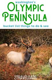 Olympic Peninsula Bucket List All The Best Things To Do And See On Washington S Op In 2020 Olympic Peninsula Washington State Travel Pacific Northwest Travel