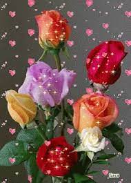 We did not find results for: Roses Hearts Gif Roses Hearts Love Discover Share Gifs Beautiful Rose Flowers Beautiful Flowers Wallpapers Good Morning Rose Gif
