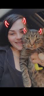 Anyone seen this little guy anywhere near St Austell street over the last  24hrs? Not like him to not come home….