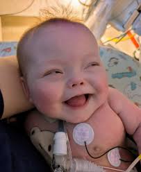 Lola, had another good day in the ring today. Went WB again for 2 points.  Congrat to all the winners today. She's doing a really good job right now.  Also, we had