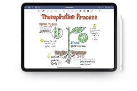 I was wondering which is better to use on my ipad pro for university. Goodnotes Homepage