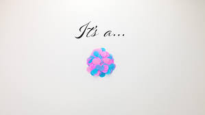 We did not find results for: Its A Girl Stop Stock Footage Video 100 Royalty Free 1021985698 Shutterstock