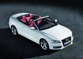 Image result for Garnet Red 2010 A5