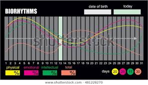 Biorhythms Vector Flow Chart Infographics Element Stock