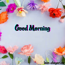 Check spelling or type a new query. 60 Beautiful Good Morning Flowers Images