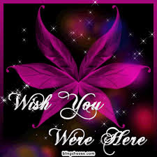 We did not find results for: I Miss You Gif Find On Gifer