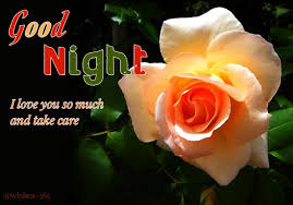 There Are Beautiful Good Night Images For Lovers You Can Download For Free And Also Share On Your Social Media Pages Like Facebook Pinterest Weheartit Twitte