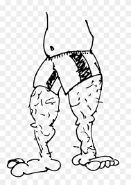Biden mentioned the blonde, curly hair on his legs while talking about his experience as a white man working at a public pool that was predominantly attended by black patrons. Leg Hair Line Art Legs White Mammal Face Png Pngwing