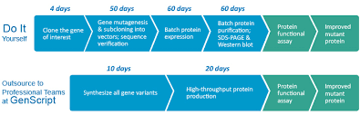 High Throughput Protein Variants Service