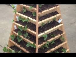 Erfahren sie im folgenden, wie sie selbst einen vertikalen garten aus einer palette bauen. Vertikaler Garten Selber Bauen Youtube